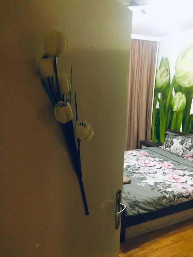 2 Bedrooms With Private Bath And Balcony Near The Airport Σόφια Εξωτερικό φωτογραφία